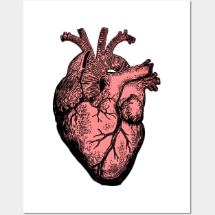 Human Heart - Graphic Design Illustration Art Posters and Art